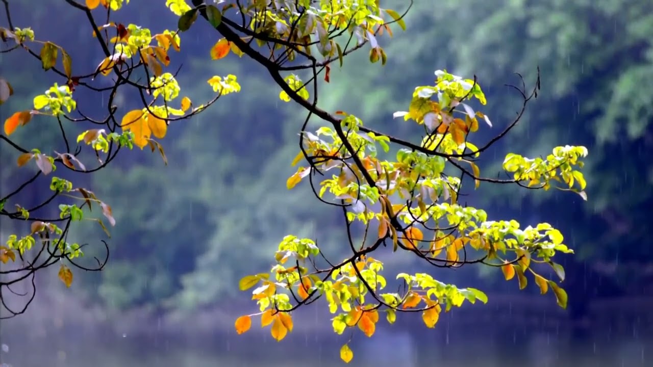 Peaceful Worship Song |Soaking in God’s Presence | Prayer Music @Upper room sounds