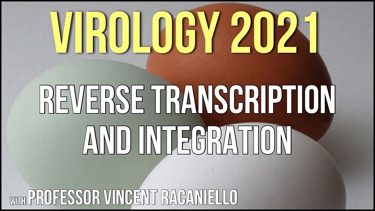 Virology Lectures 2021 #9 - Reverse Transcription and Integration