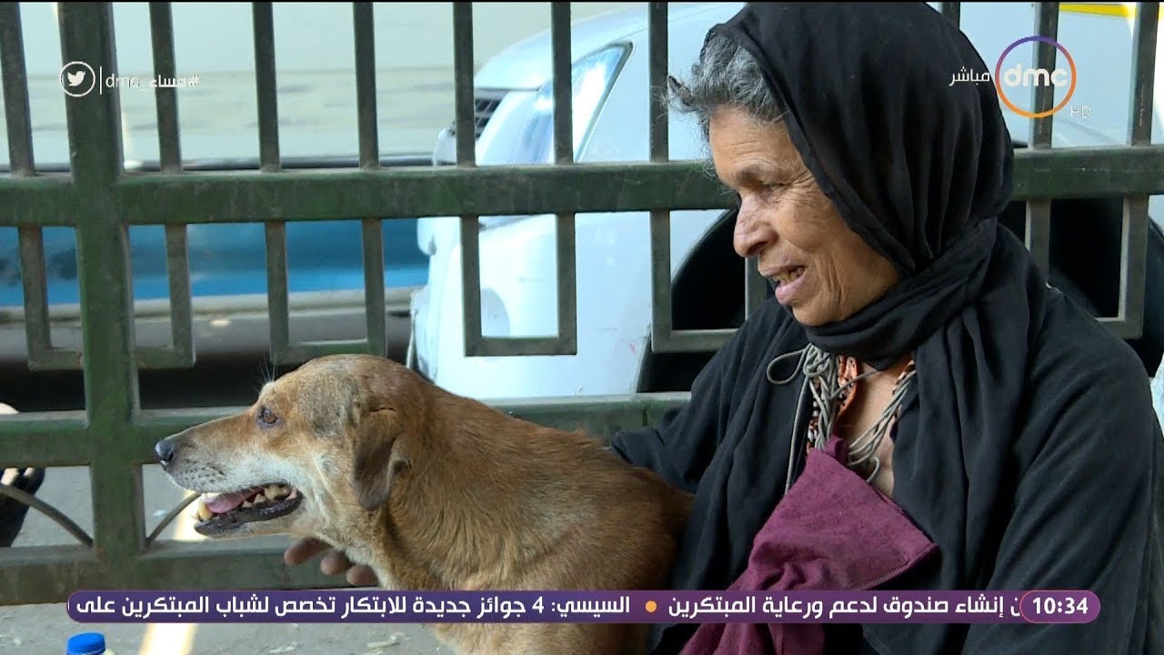 مساء dmc - تقرير .. هدى .. إمرأة اتخذت من كلاب الشارع أهل لها