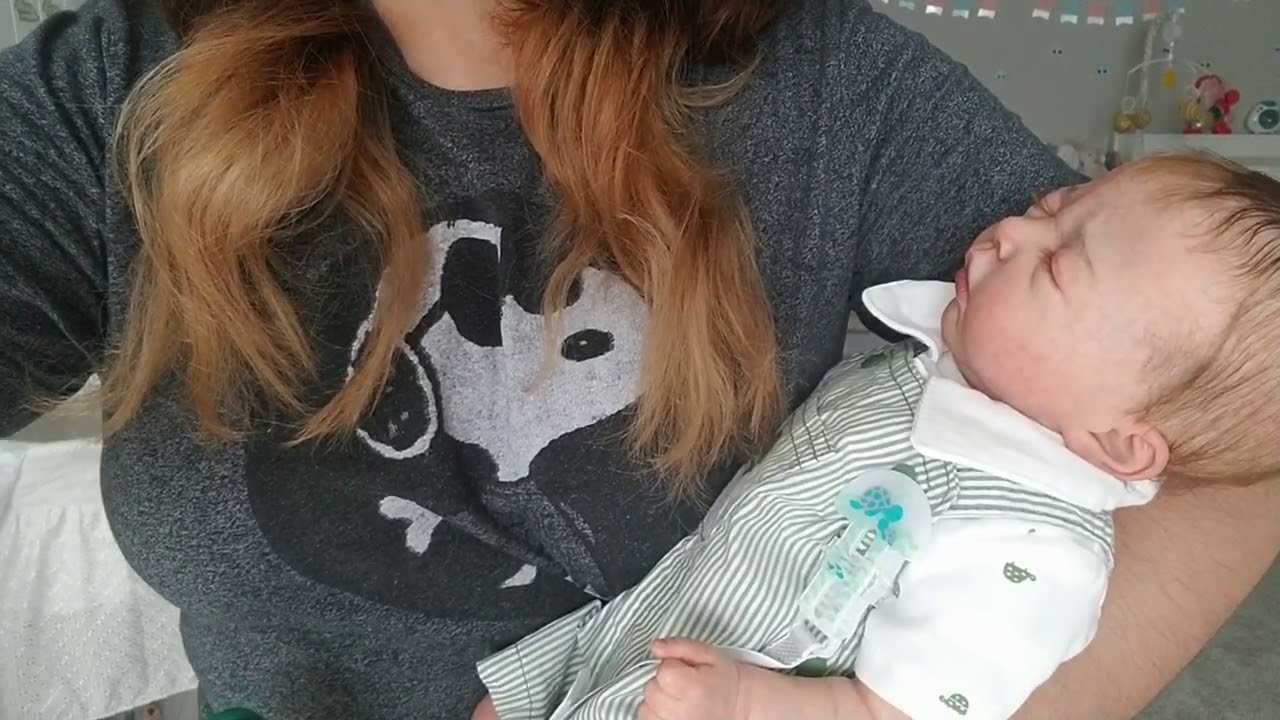 UN DIA EN LA VIDA DE DYLAN (Mi bebé reborn) / Viviendo con tortugas