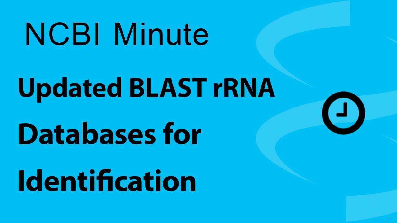 NCBI Minute: Updated BLAST rRNA Databases for Identification