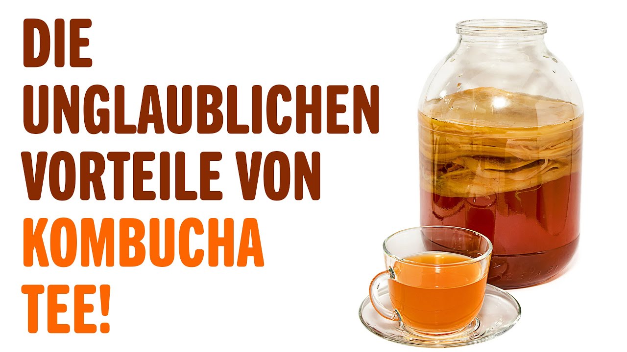 DIE UNGLAUBLICHEN VORTEILE VON KOMBUCHA TEE! | Vorteile von | Tipps f&uuml;r ein Gesundes