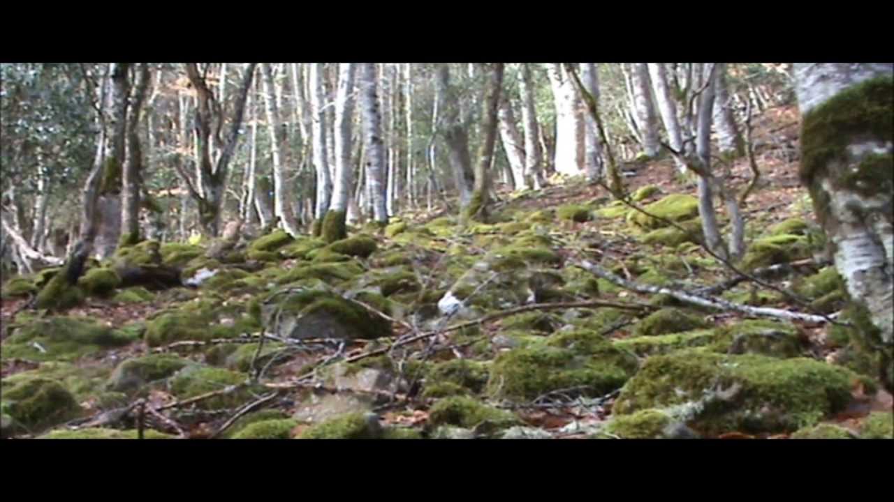 Parque Natural Sierra de Cebollera CASCADAS DE PUENTE RA