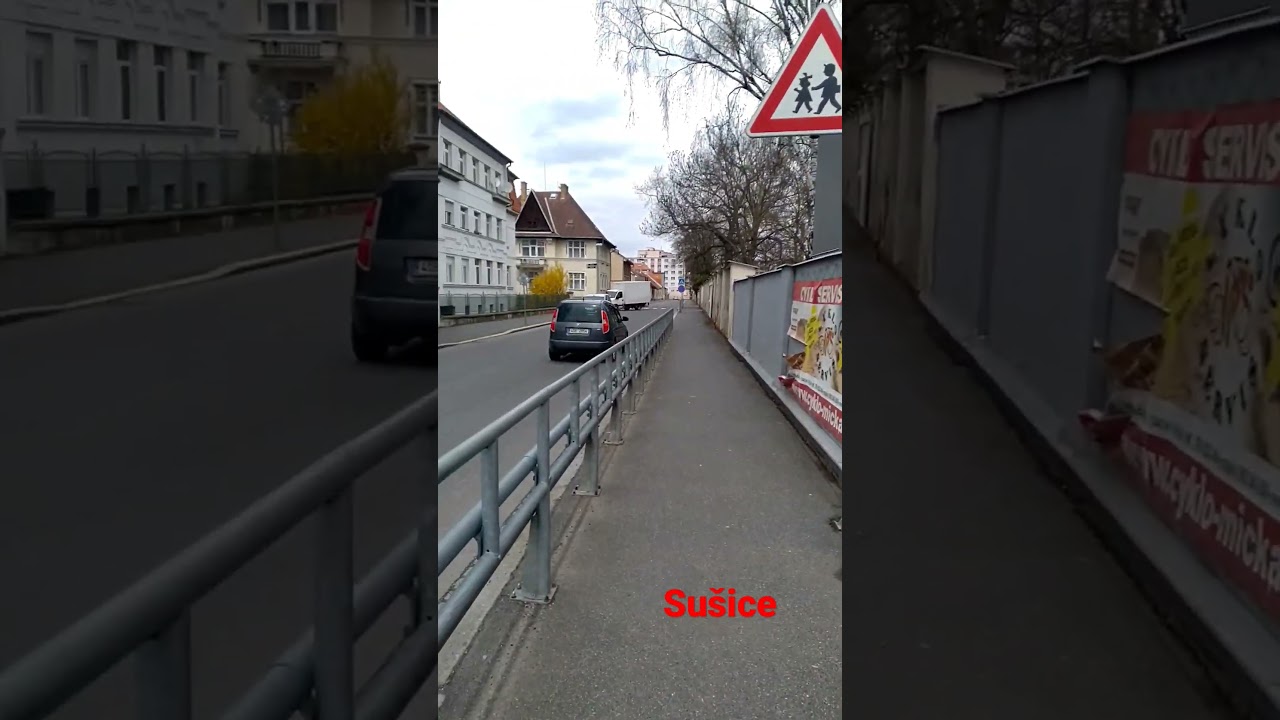 Su&scaron;ice