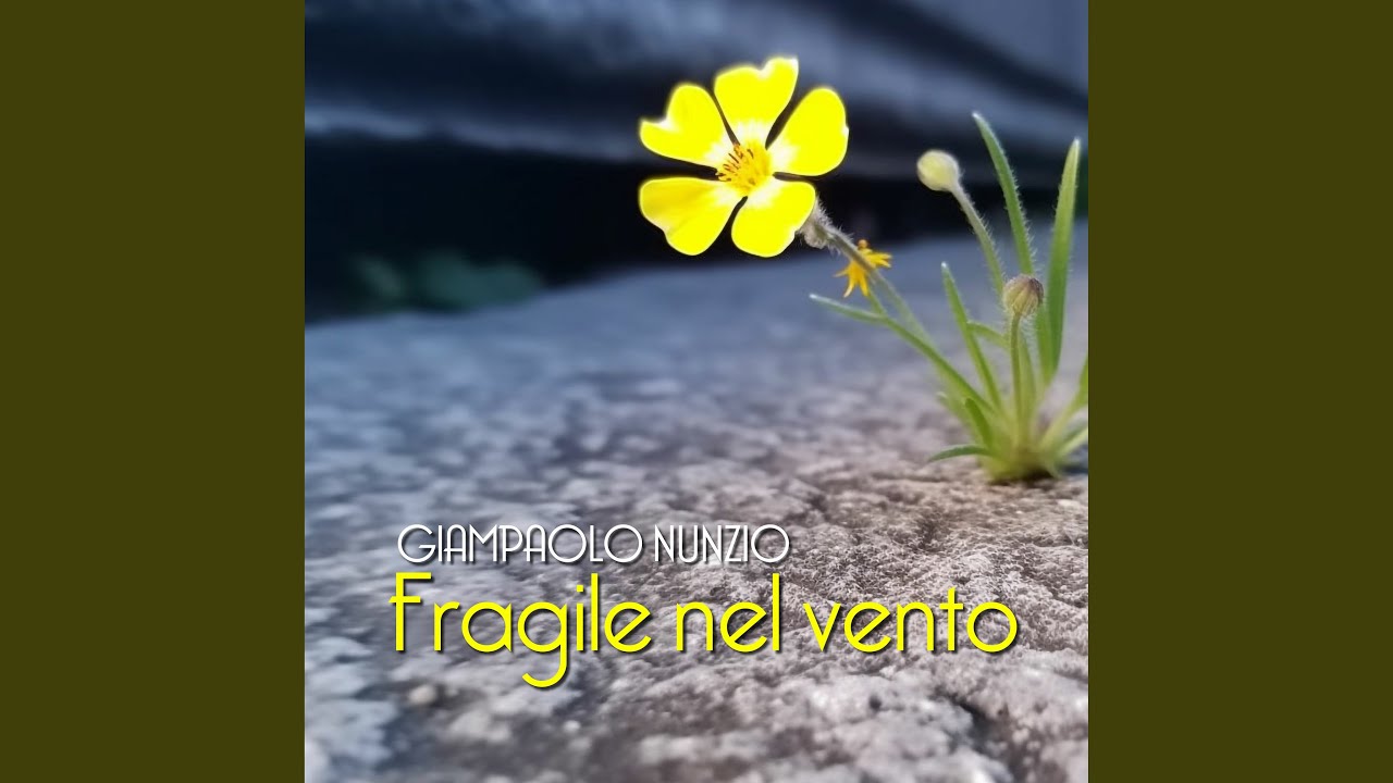 Fragile nel vento