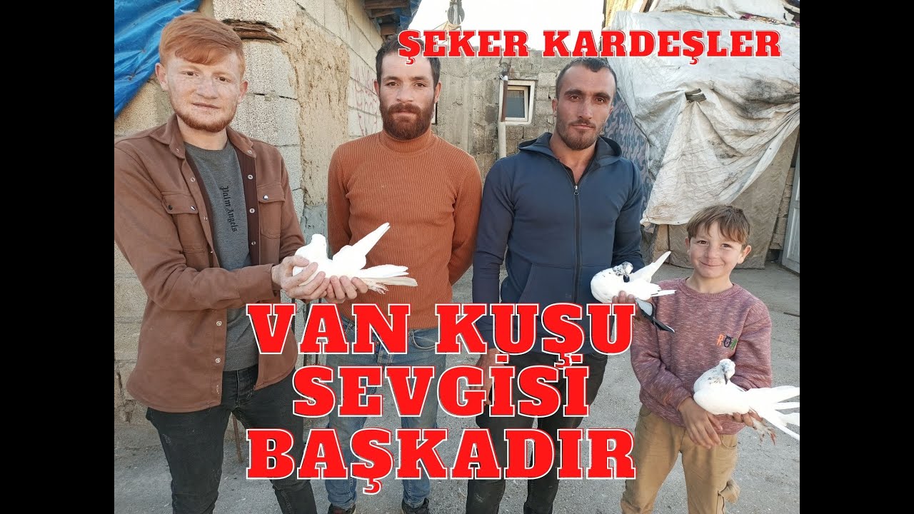 ŞEKER KARDEŞLER VAN KUŞU BİZİM İÇİN HERŞEY DEMEK