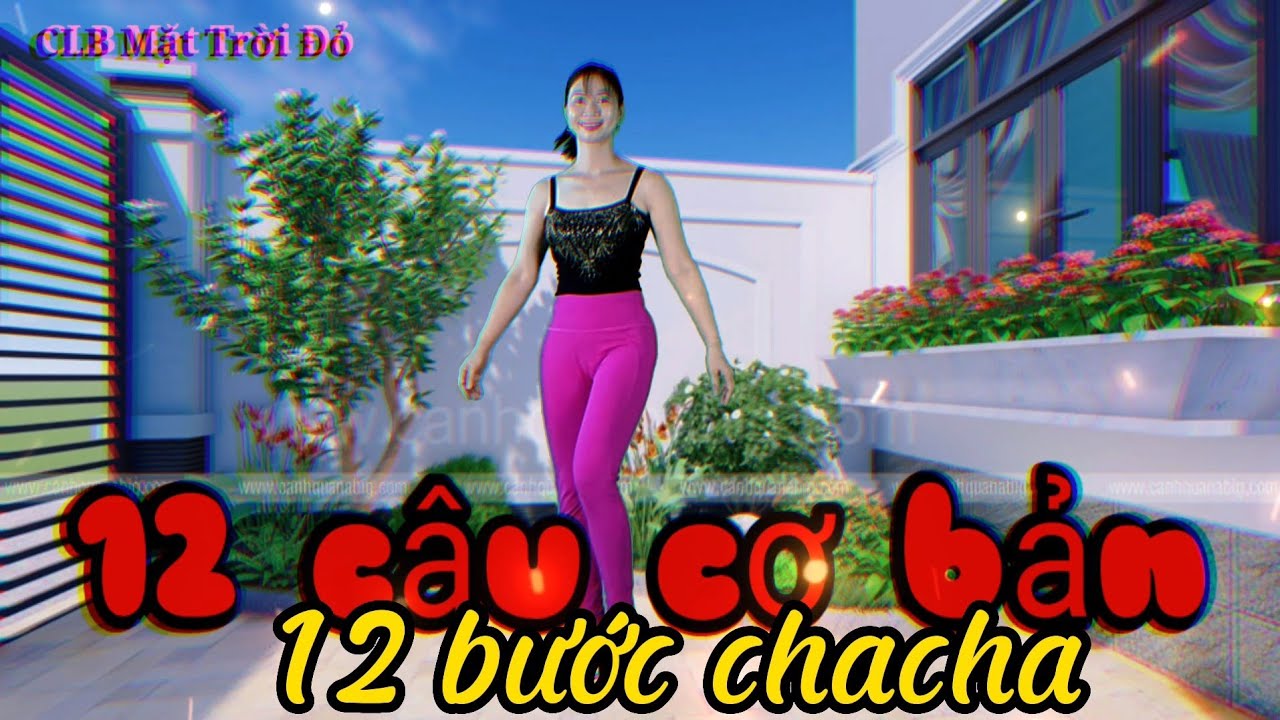 Hướng dẫn chacha cơ bản/bài 2/rất chi tiết dễ học