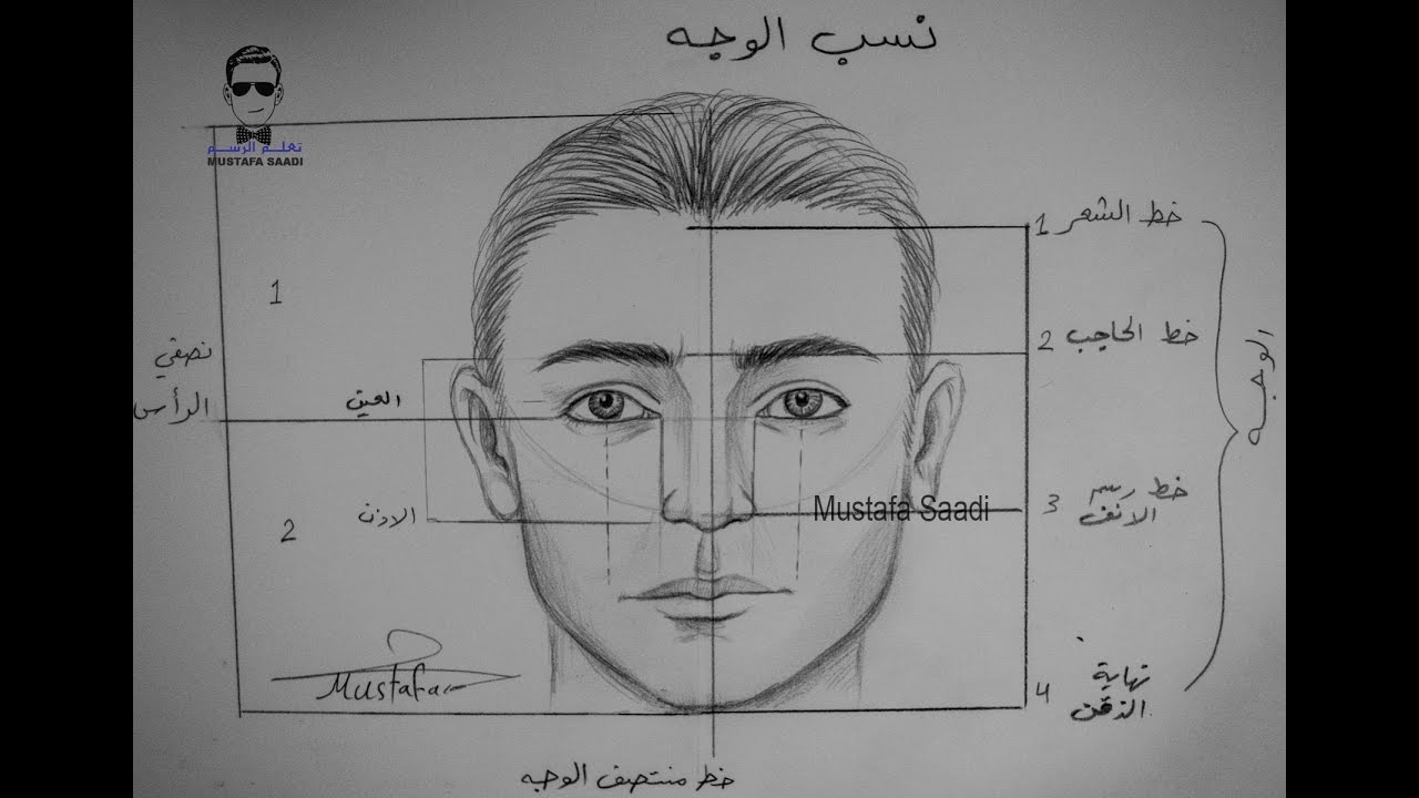 تعلم رسم نسب الوجه للرجل بالرصاص مع الخطوات للمبتدئين