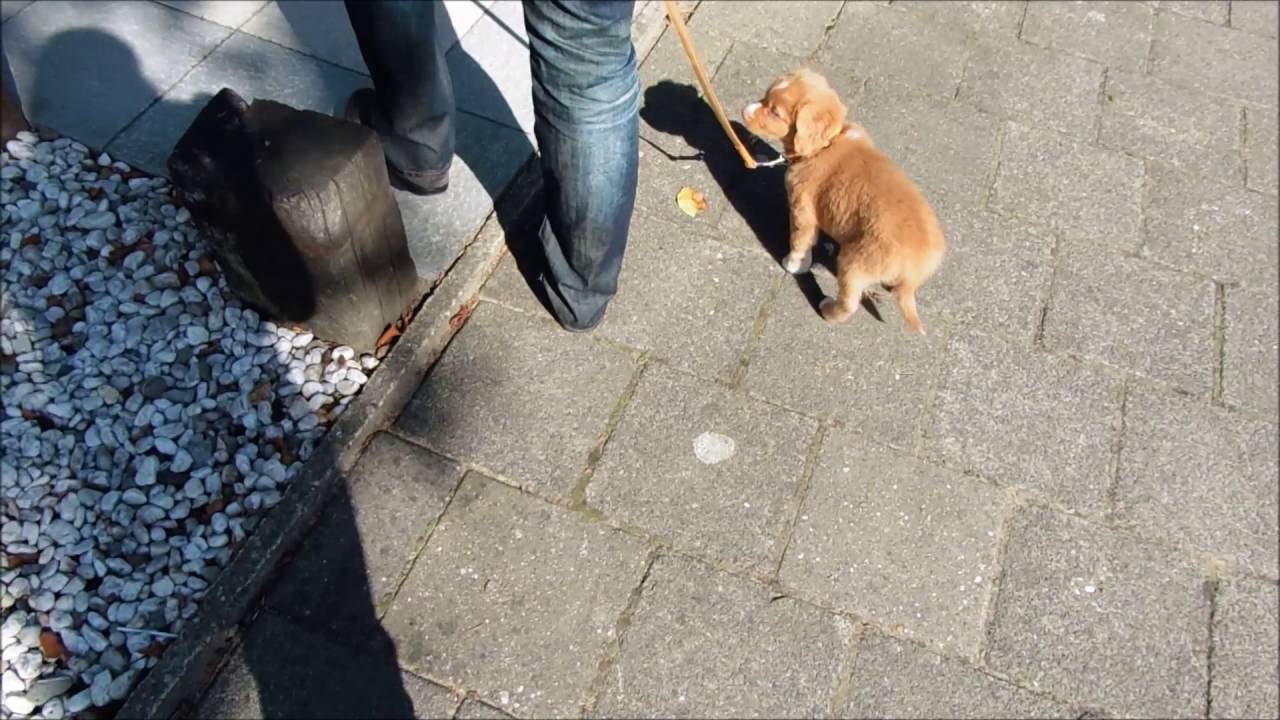 Charlie's first day