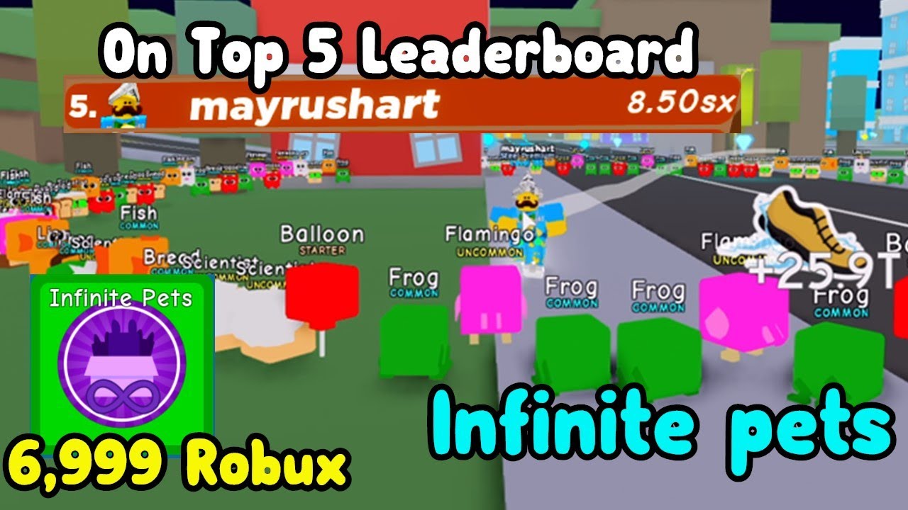 I Bought The Infinite Pet Gamepass And Became Top 4 Best Player In Roblox  Speed Champions