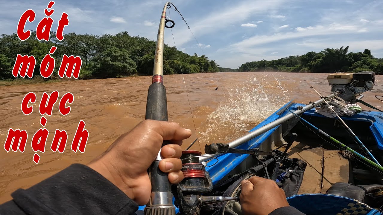 CẮT MÓM - Đụng bầy cá to sau lũ sông Bé ✅