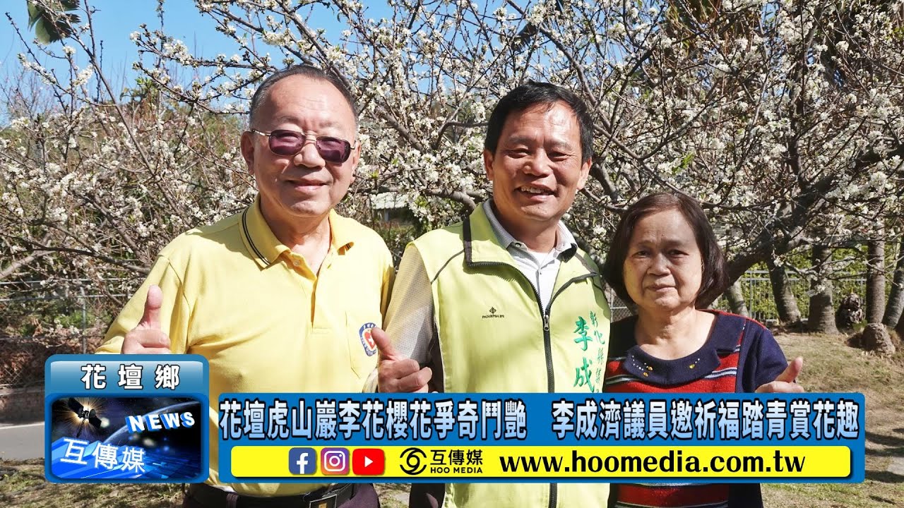花壇虎山巖李花櫻花爭奇鬥艷　李成濟議員邀祈福踏青賞花趣