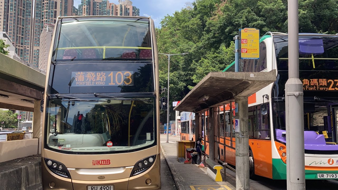 巴士路線評價：過海隧道路線103號