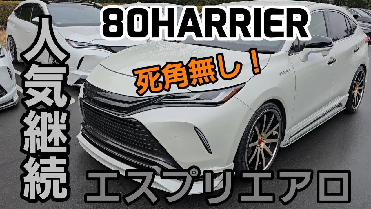 80HARRIER　やばカッコいいエスプリエアロに個性をプラス