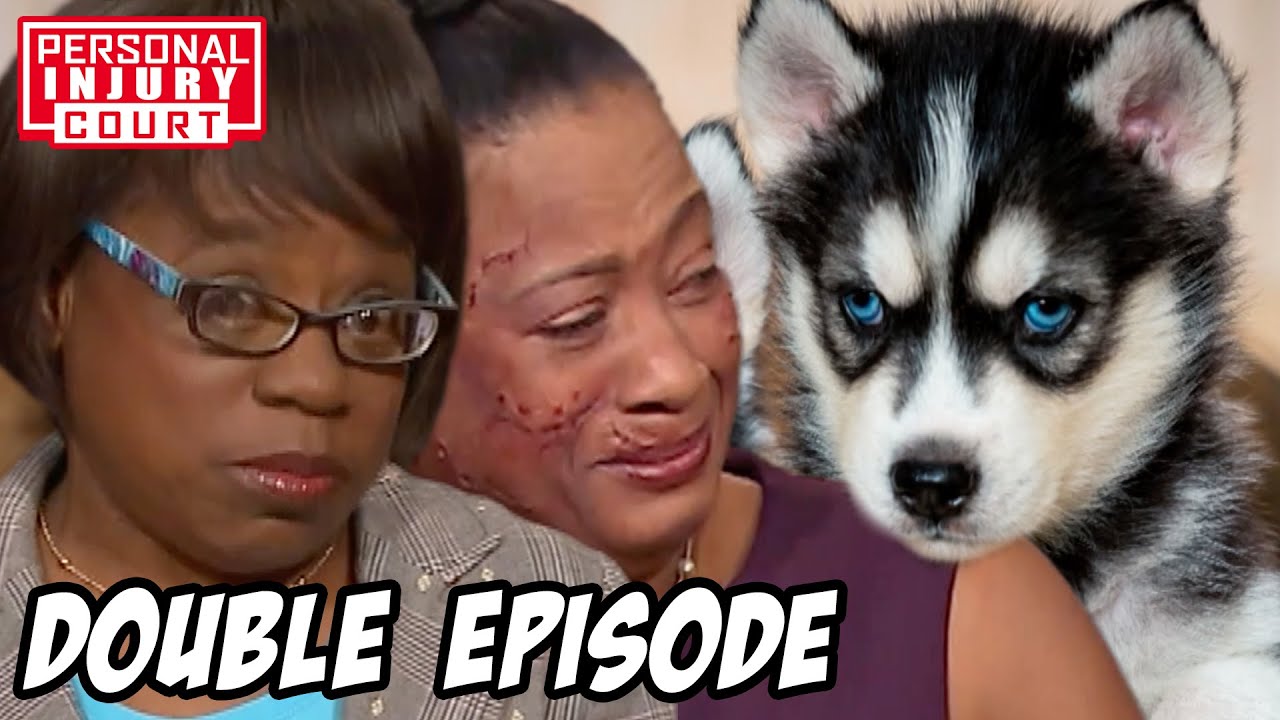 Cute Puppies Or Vicious Beasts - Up To $280,000 Cases | Double Episode | Personal Injury Court