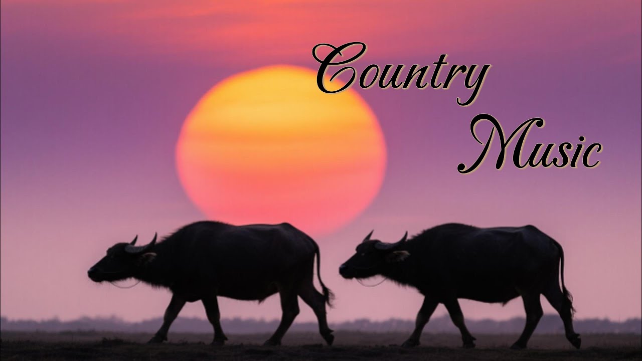 Country Music With Gentle Melodies Takes You Back to the Old Memories