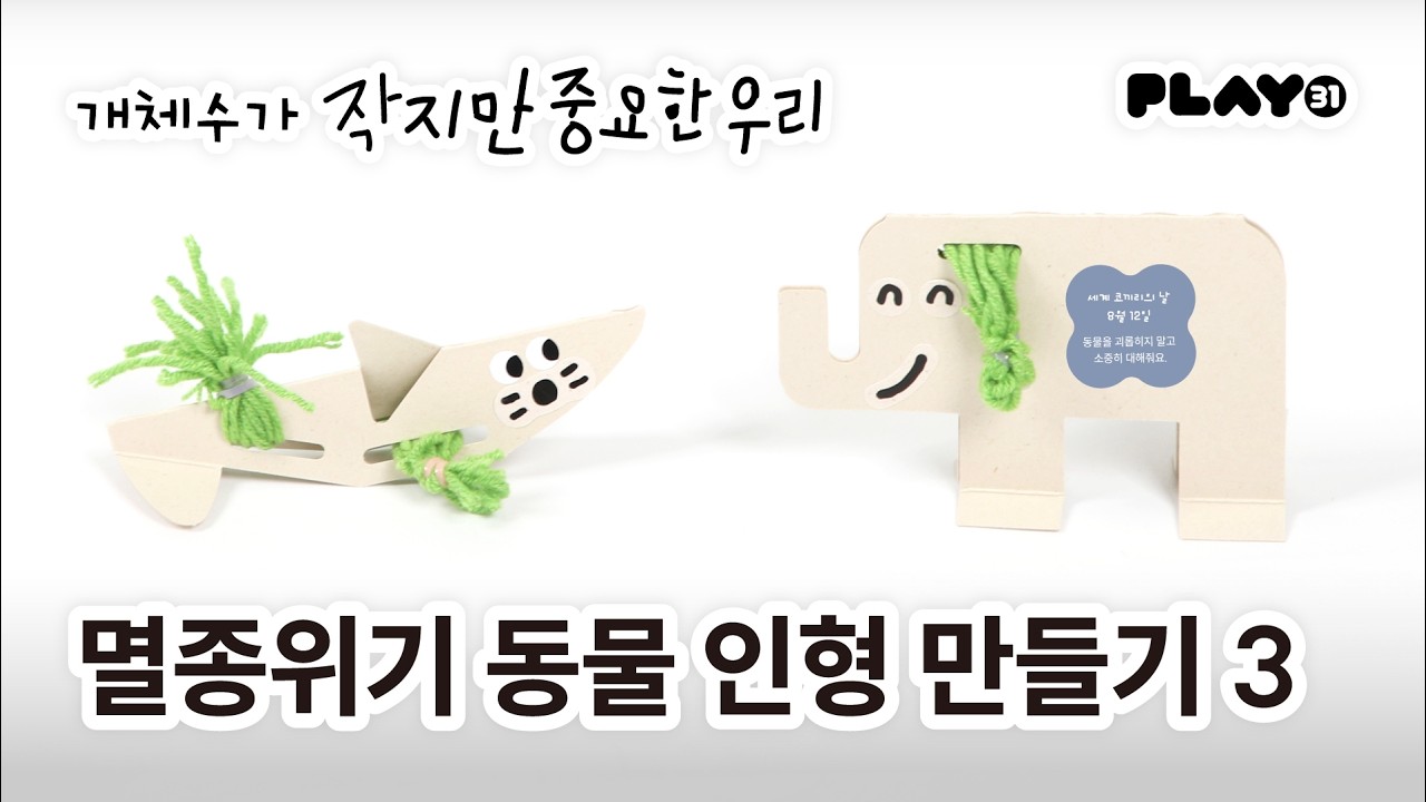 멸종위기 동물 인형 만들기 ③ 코끼리·백상아리 | 환경 | 개체수가 작지만 중요한 우리 | 플레이31
