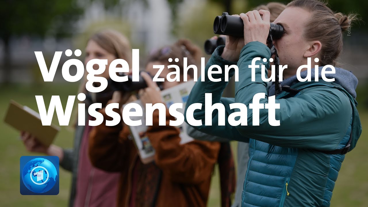 Mitmach-Studie 