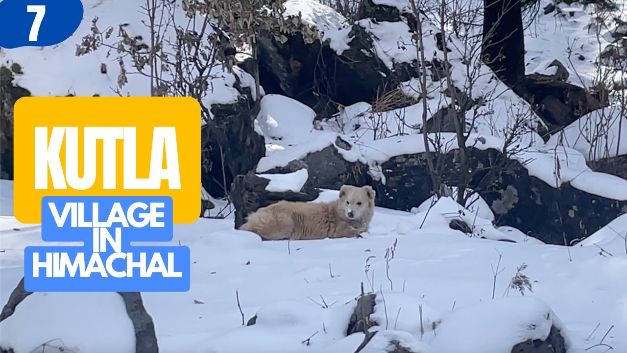 EP-7 | DAY IN KUTLA-NIGHT IN TOSH | Best Winter