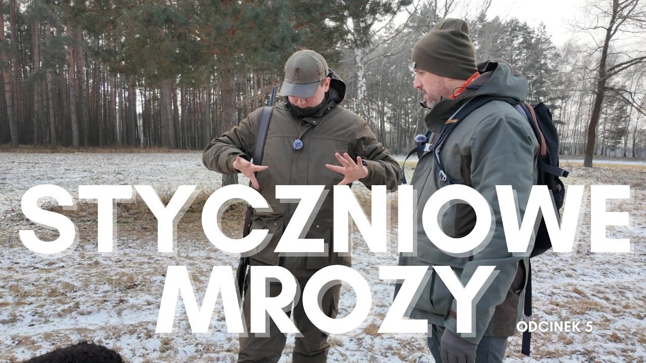 Stażysta - Zimowa leśna pomoc || Winter help for forest animals