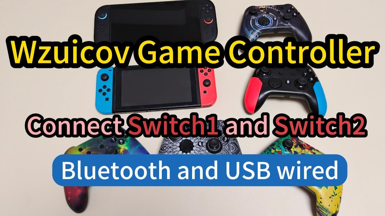 Wzuicov controller connection SW1 & SW2 demo