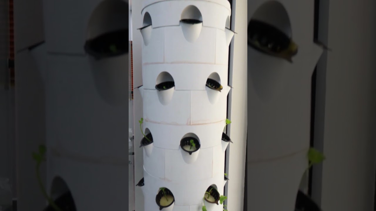 Farming Without Soil | The Future is Aeroponics