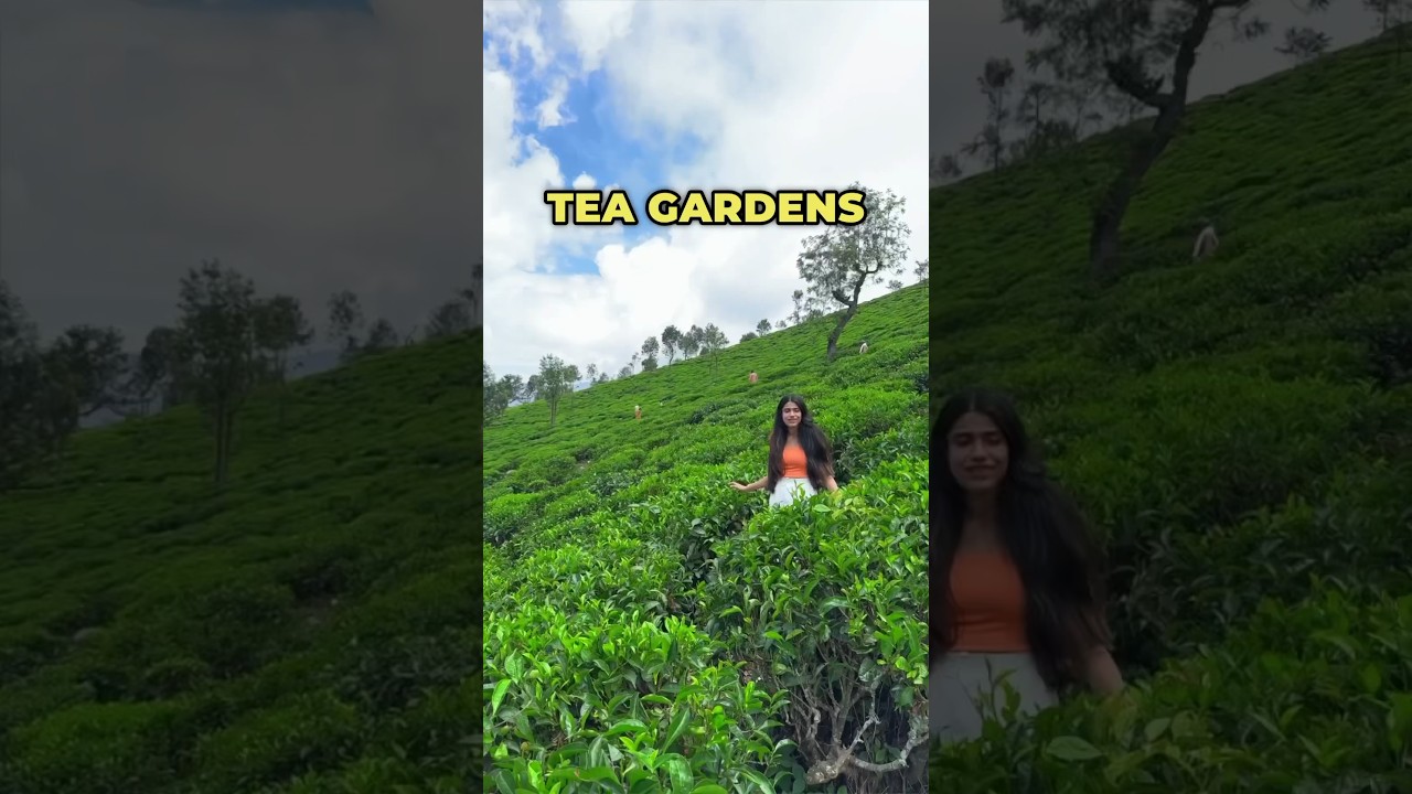 Ooty & Coonoor 3 Day Itinerary #travel #ooty #coonoor #india #tamilnadu #itinerary