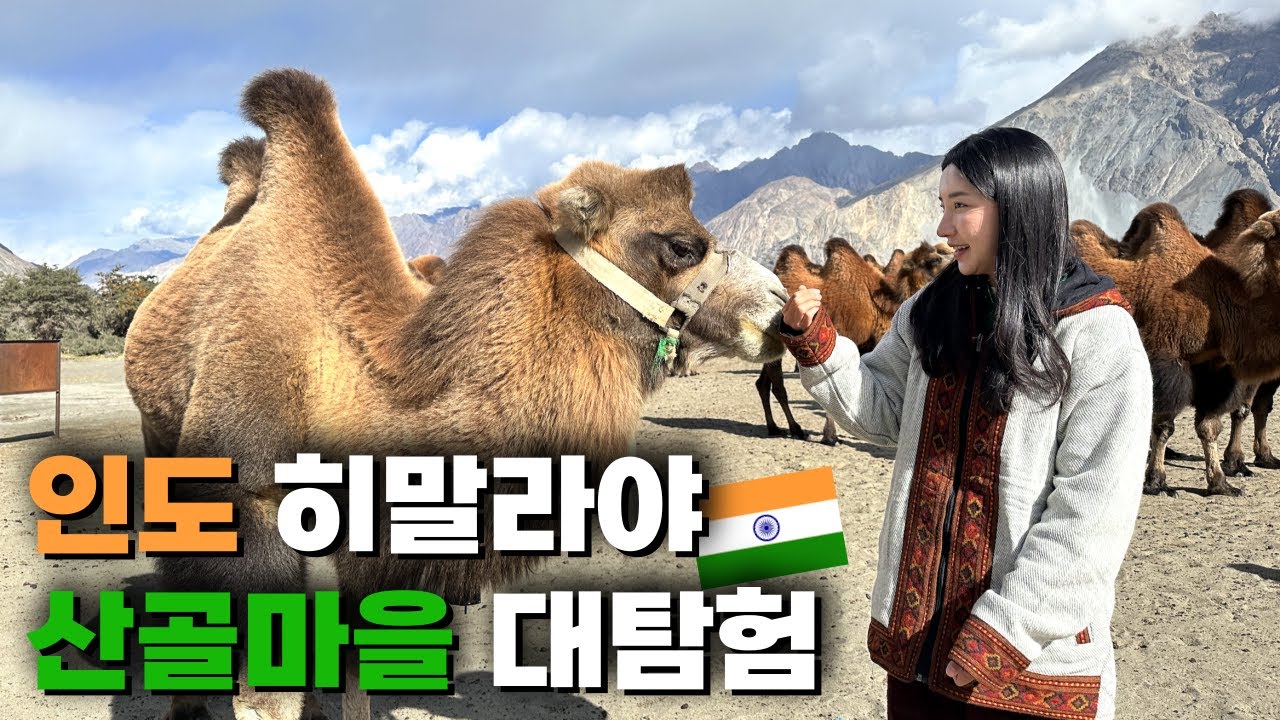 Путешествие в пустынную деревню на высоте 3500 м в Индии 🇰🇷🇮🇳 - Индия(6)
