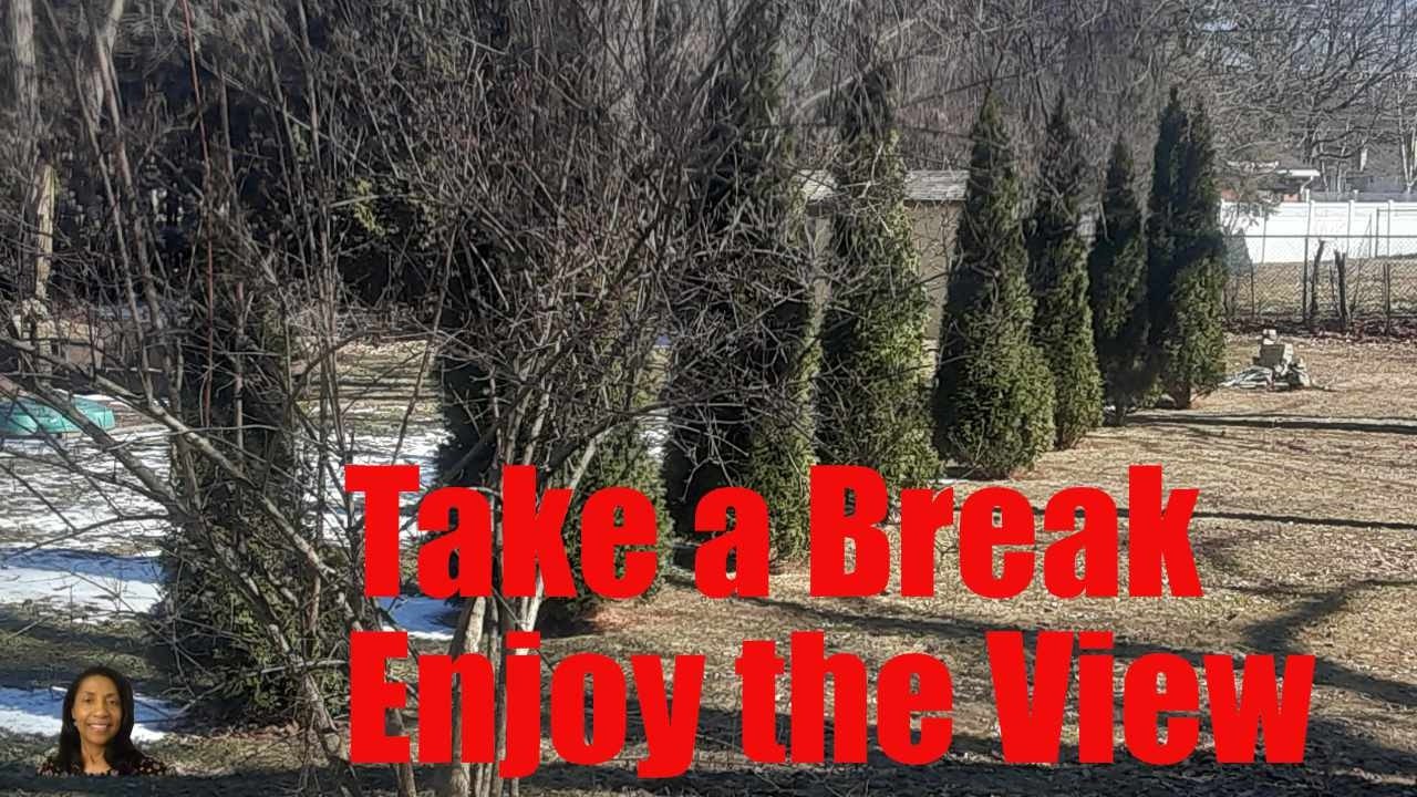 Take a Break: Enjoy the View