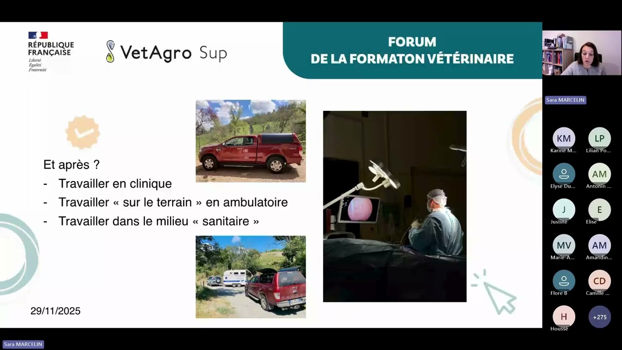 Forum de la formation vétérinaire 2025 : Le métier de vétérinaire en équine
