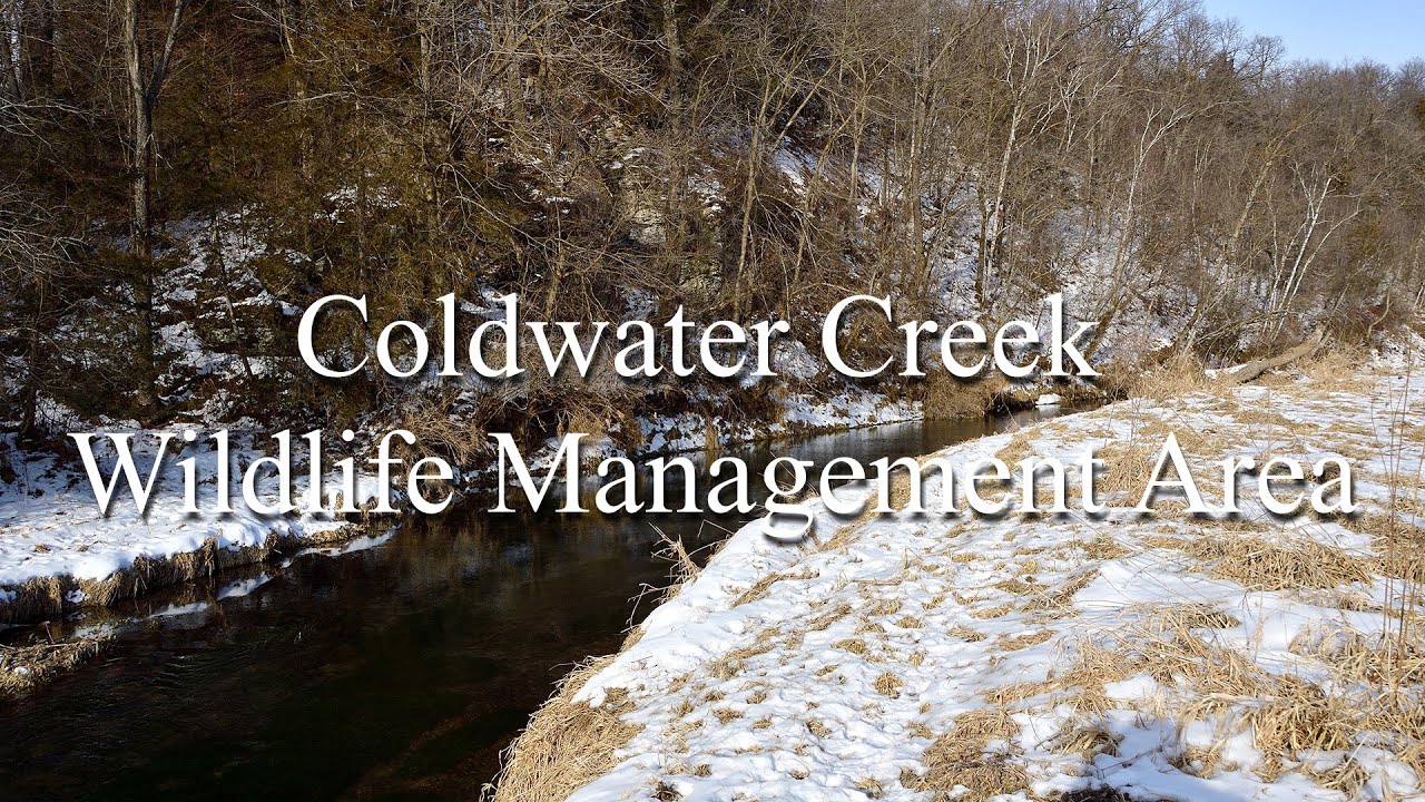Coldwater Creek Wildlife Management Area