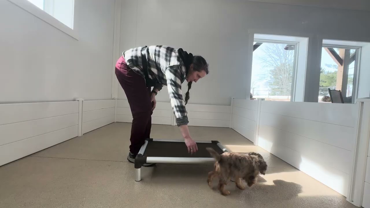 Maisie Training Session 02/09