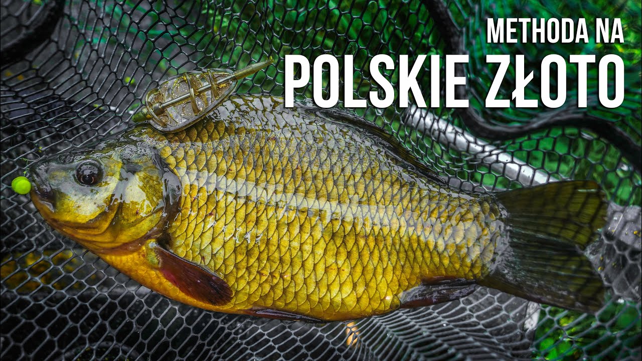 Methoda na polskie złoto
