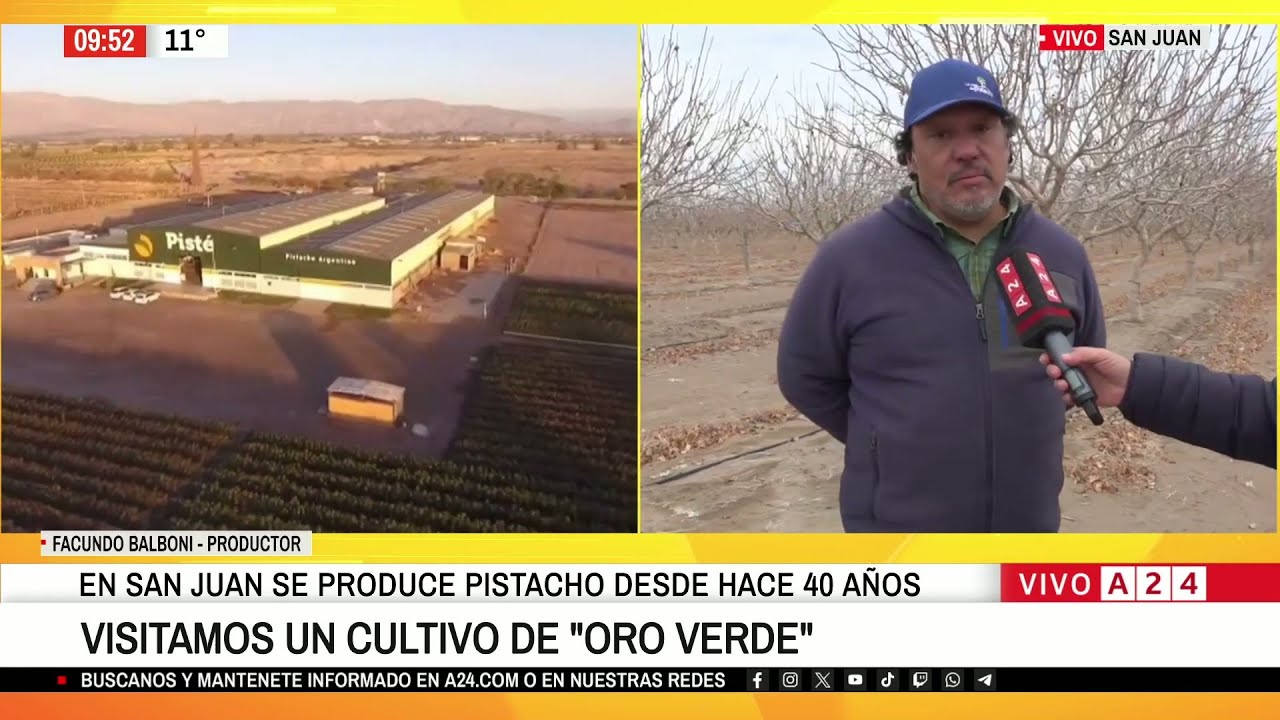EL BOOM DEL PISTACHO EN SAN JUAN: INVERSIÓN Y EXPORTACIÓN