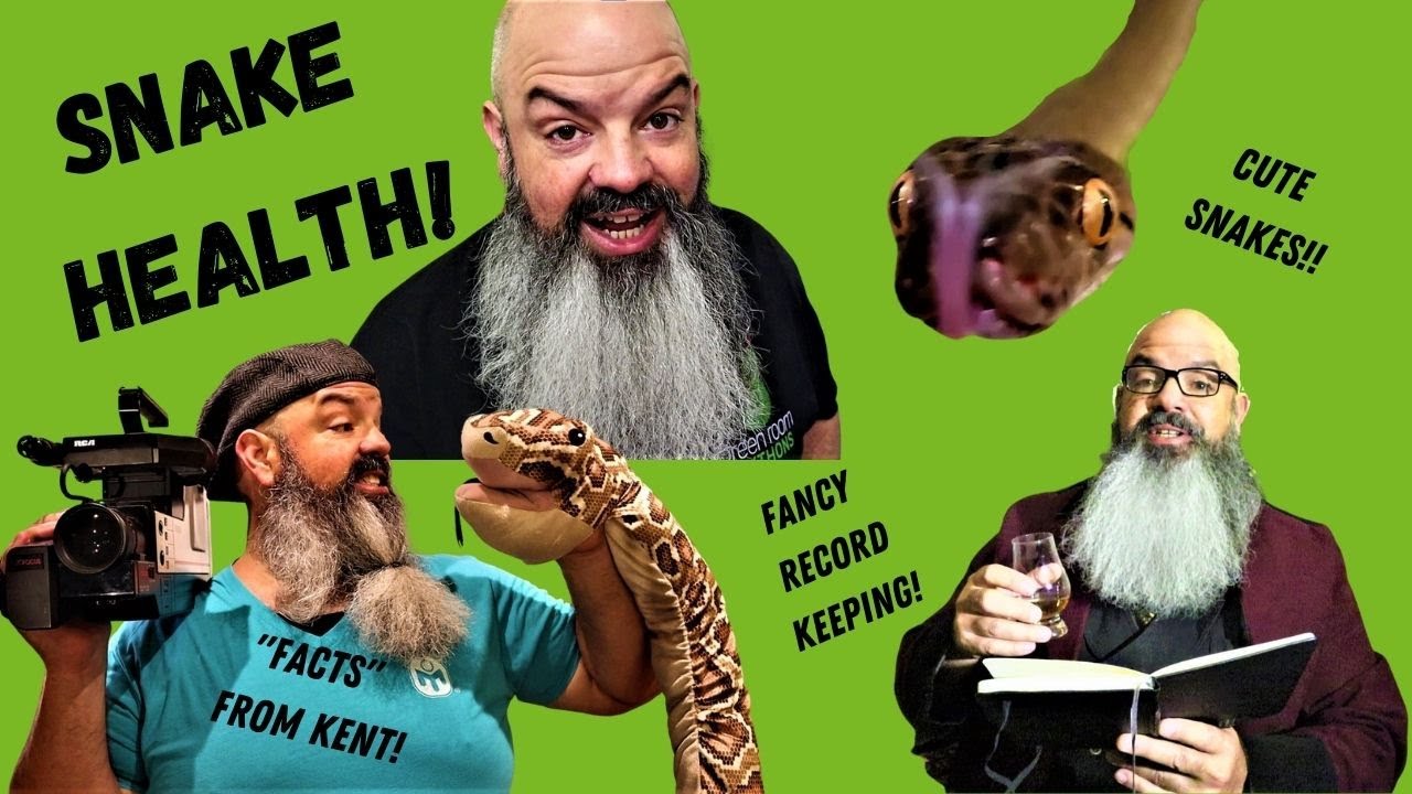 Snake Health: What to Be Aware of & How to Track