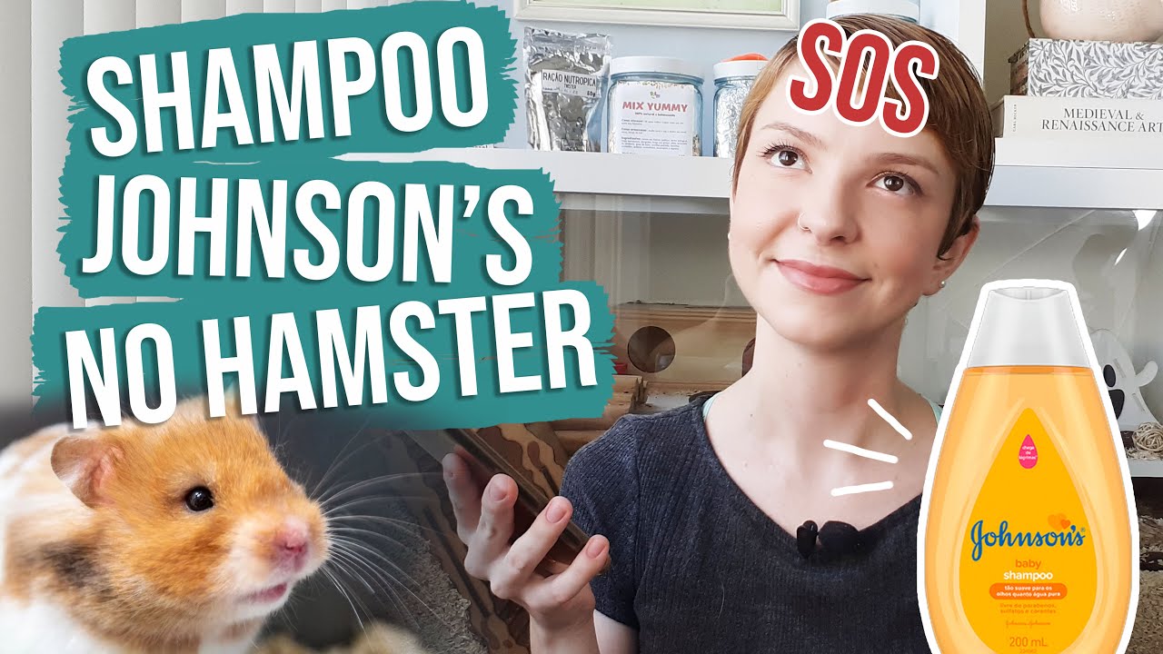 Reagindo a ABSURDOS de vendedores de PETSHOPS