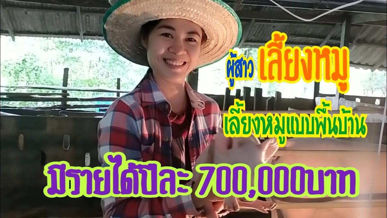 สาวเลี้ยงหมูแบบพื้นบ้าน มีรายได้ปีละ 700,000 บาท