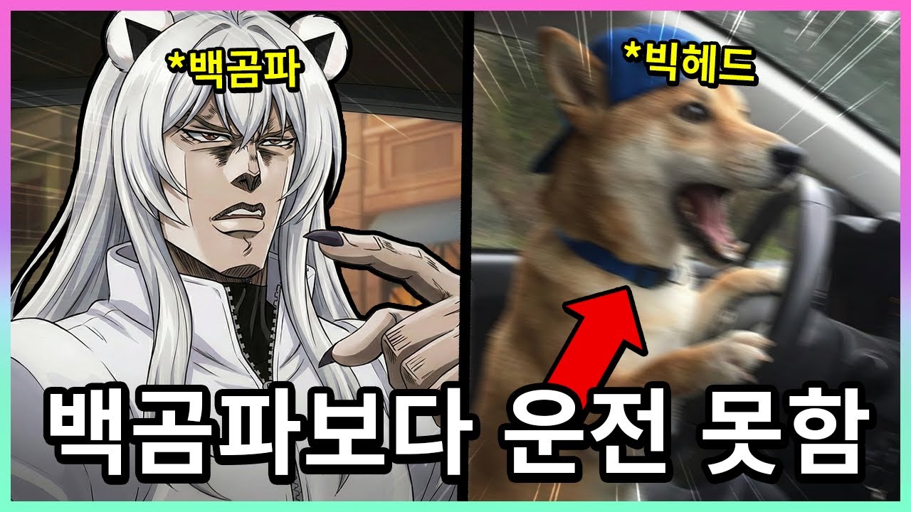 백곰파한테 훈수들음
