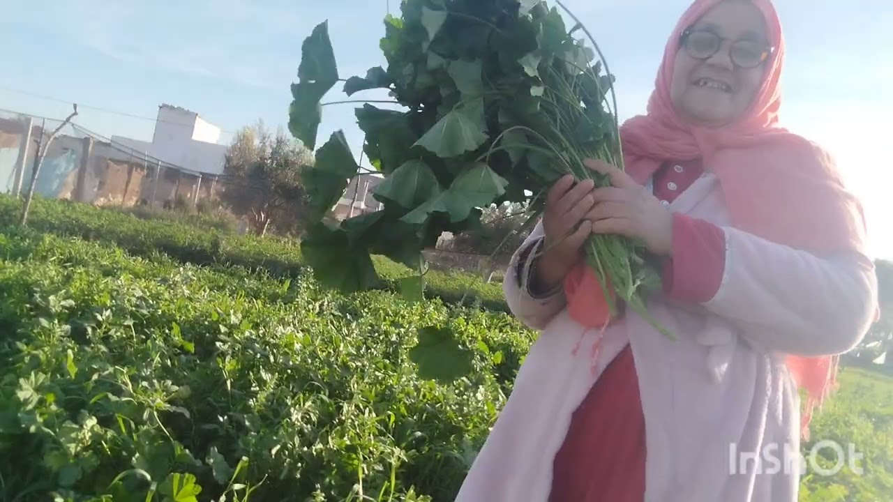 @ خبيزة اولاد اسعيد  الصحية بماء السقي