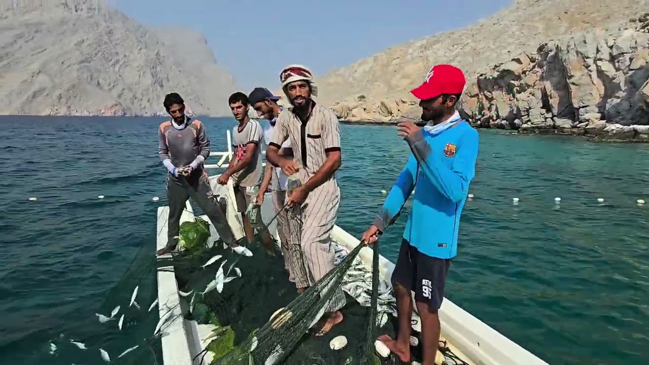 أحد طرق الصيد التقليدية والتي تسمى ب ( وغو )وهي شبيه للضغوه تماما في محافظة مسندم #رحاب_الظنحاني