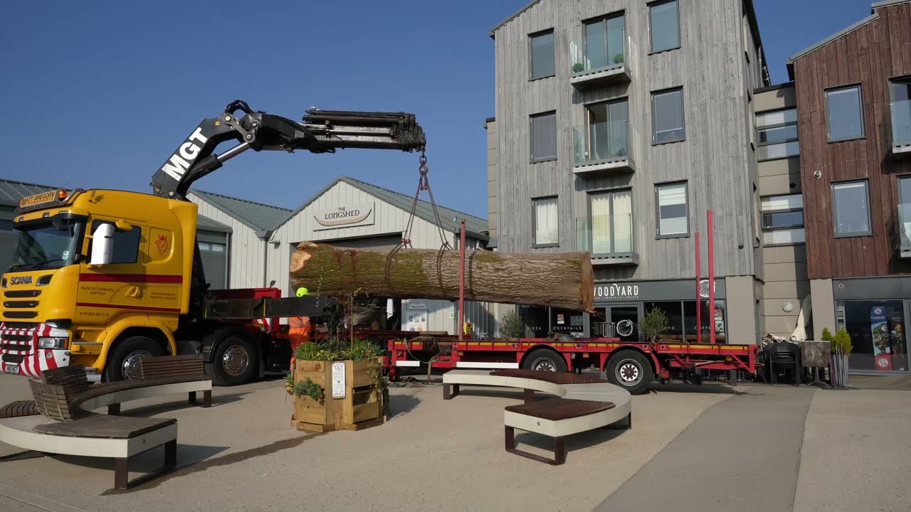 The Sutton Hoo Ship's Company: First tree delivery from Whiligh Estate