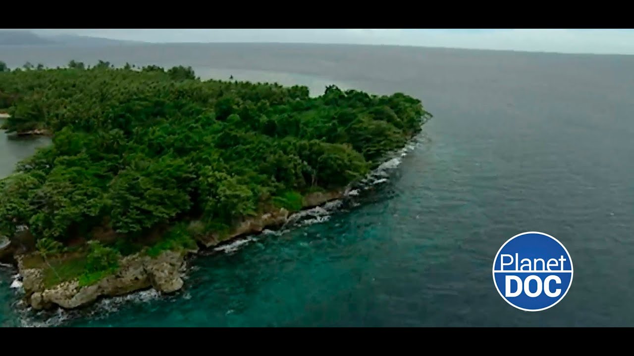 Cultura y forma de vida de los Guerreros del Mar: viven en Papúa Nueva Guinea (DOCUMENTAL COMPLETO)