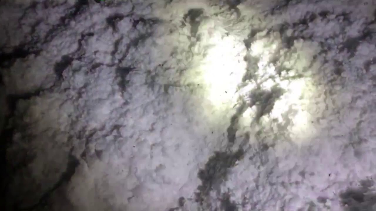 Mouse Tunnels in Attic