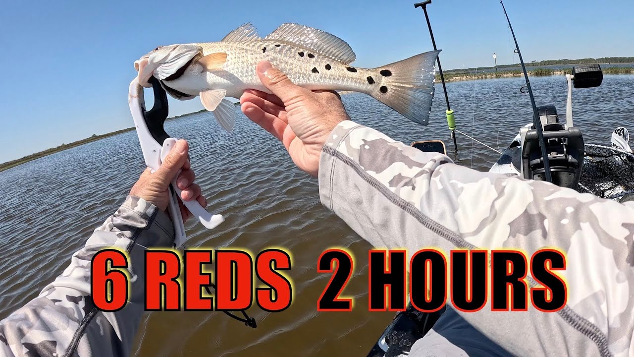 2025 Florida Redfish Series Panacea Florida