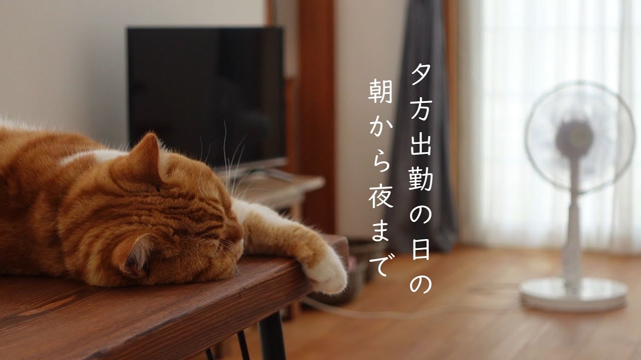 15時出勤の日の朝から夜まで/体力落ちてヘトヘトになる私です/簡単まぜ寿司で晩ごはん/休日の刺繍/猫さん