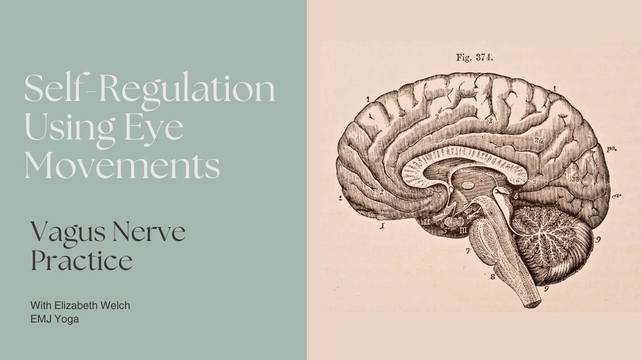 Self-Regulation Using Eye Movements | Vagus Nerve Practice