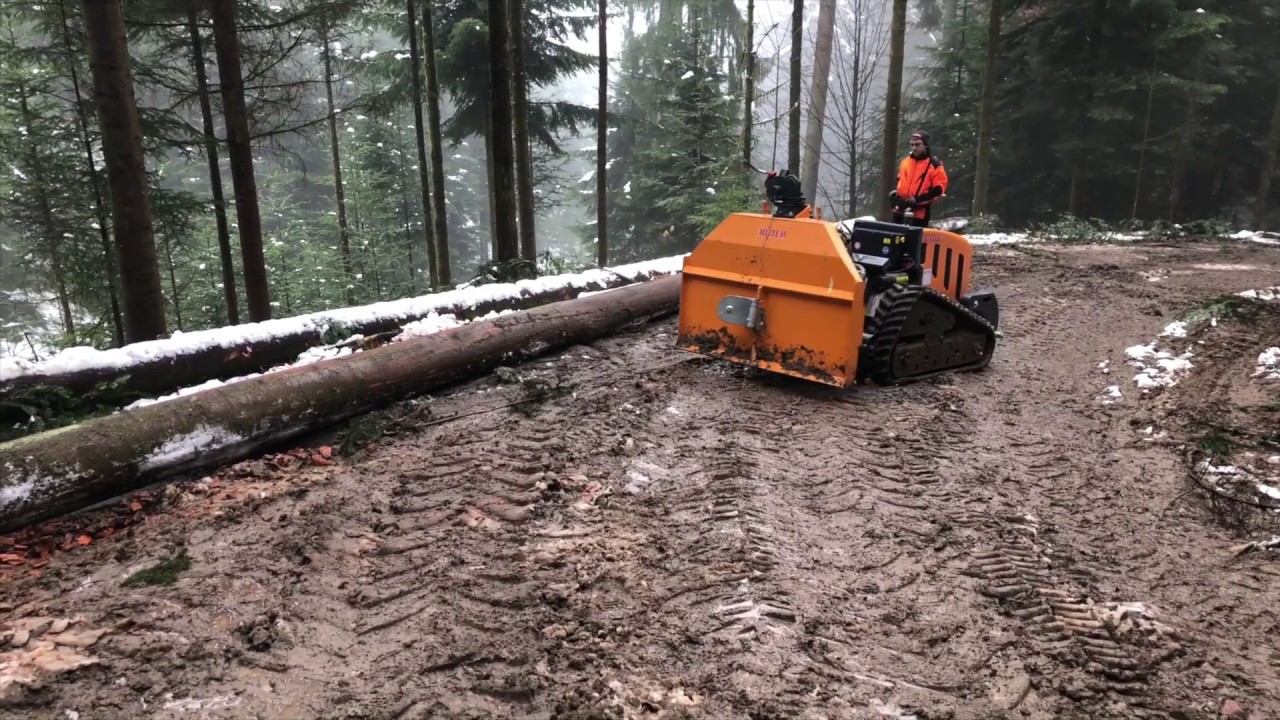 RITTER Vorführung Raupe mit Seilwinde D40