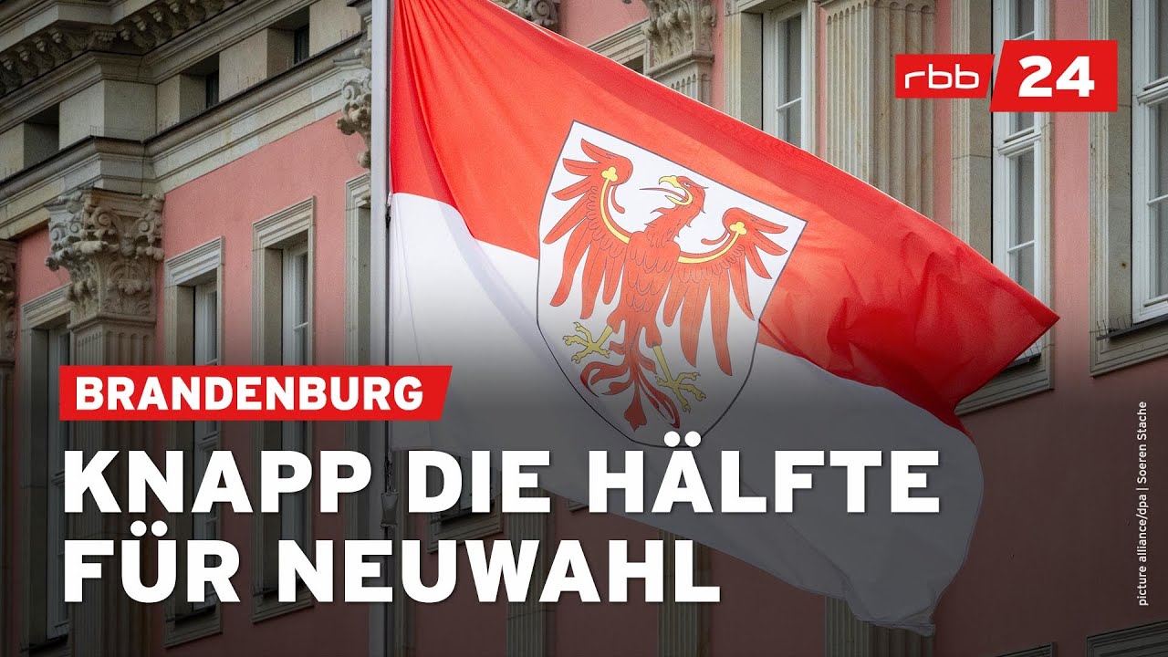 Umfrage in Brandenburg: Neuer H&ouml;chstwert f&uuml;r AfD