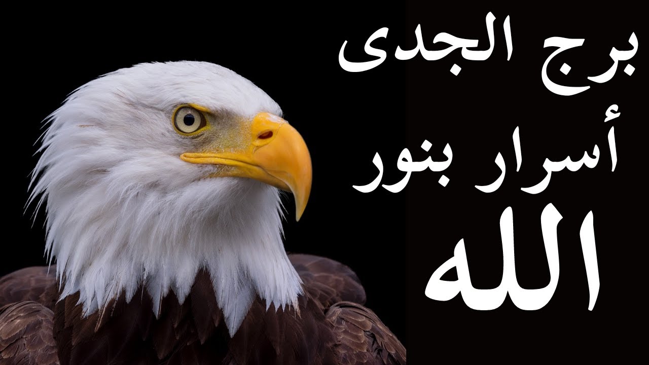 توقعات برج الجدى إستدعاء بشكل رسمى مش بيحبك و بس ده بيعشق روحك