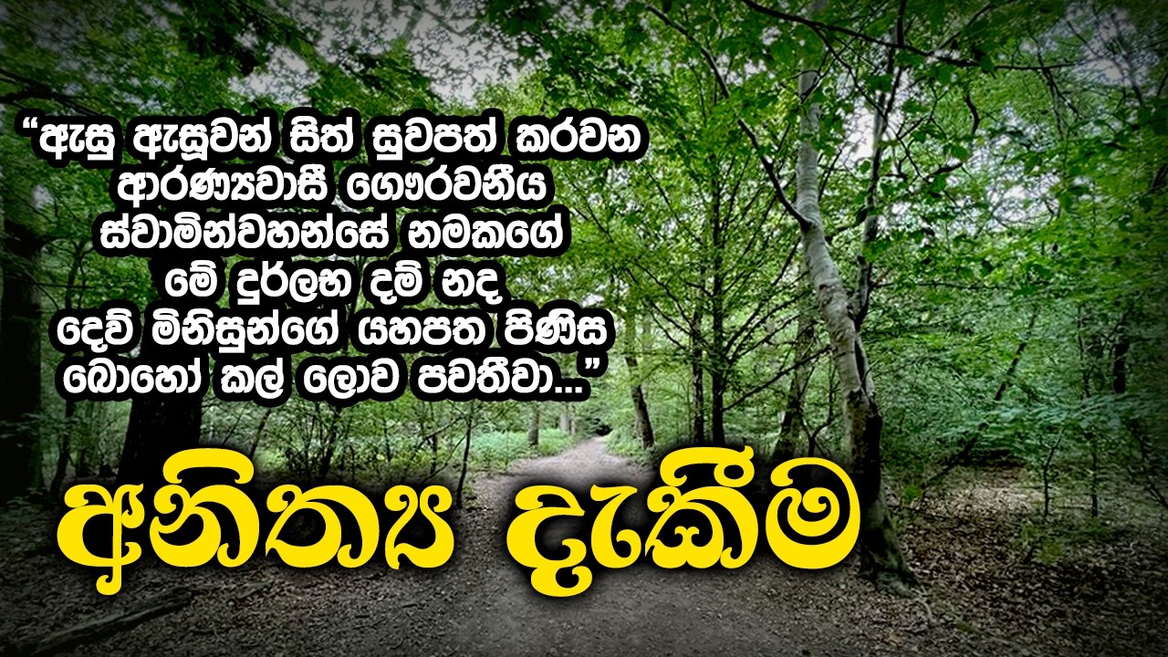 අනිත්‍ය දැකීම | Samma Ditthi UK